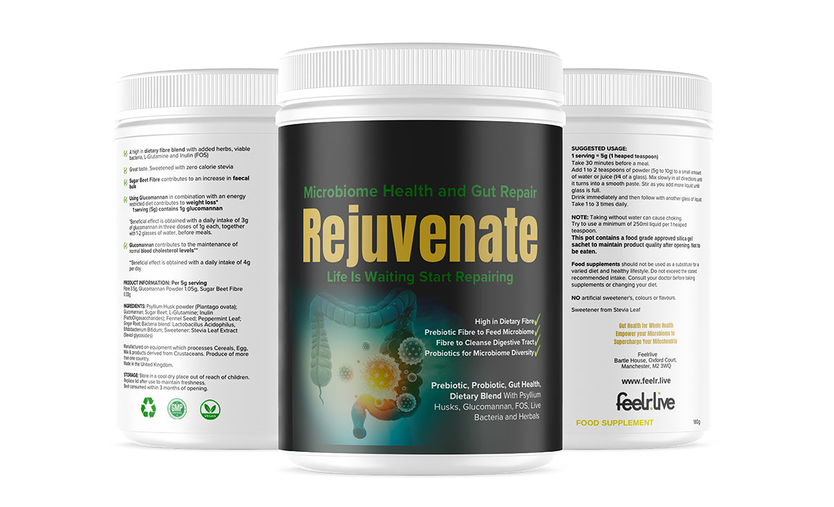 Rejuvenate Gut Health Digestive Impact Powder